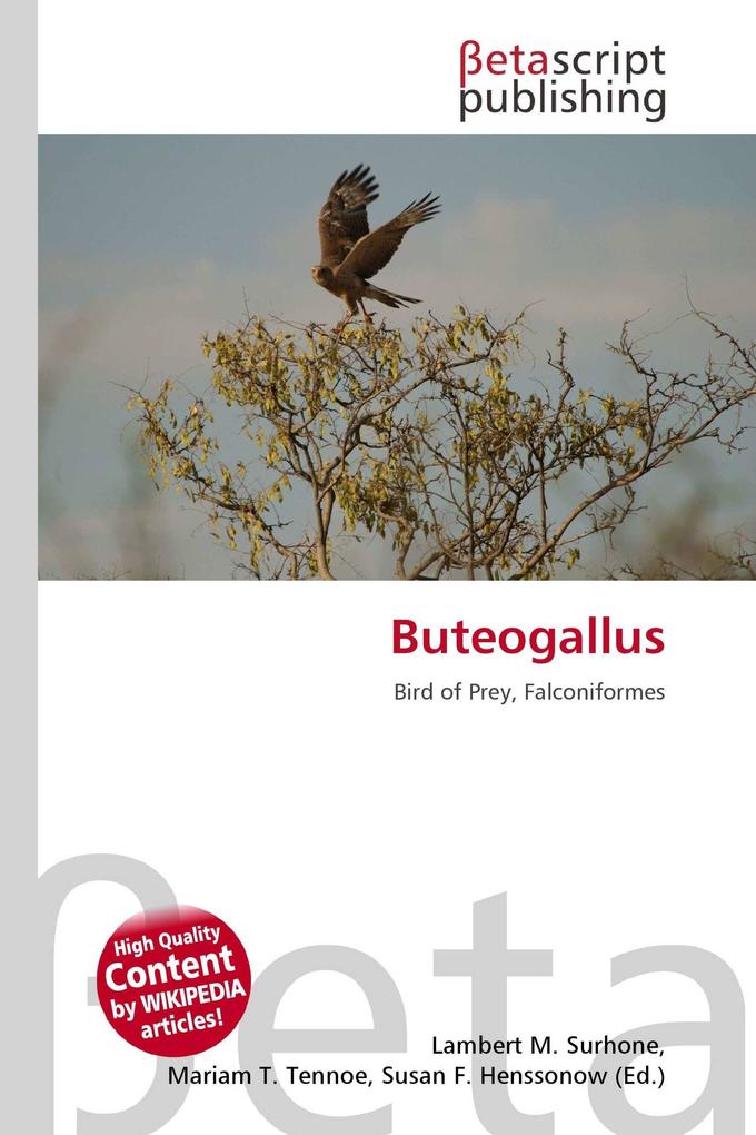 Buteogallus
