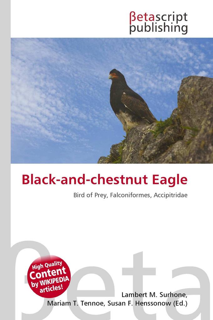 Black-and-chestnut Eagle