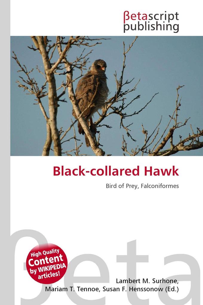 Black-collared Hawk