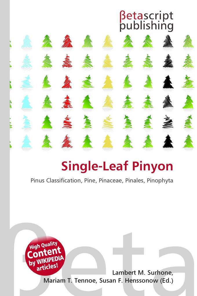 Single-Leaf Pinyon