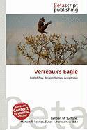 Verreaux's Eagle