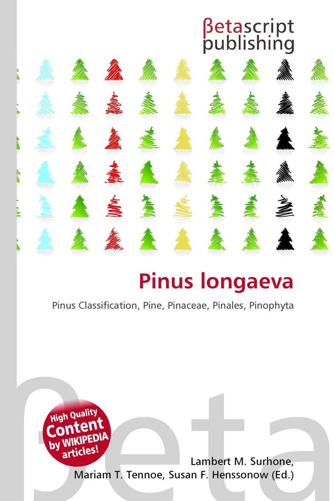 Pinus longaeva
