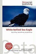 White-bellied Sea Eagle