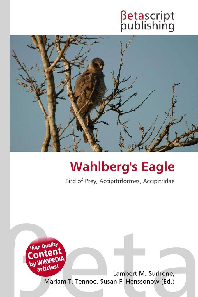 Wahlberg's Eagle