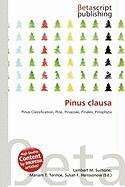Pinus clausa