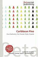 Caribbean Pine