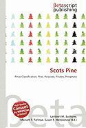 Scots Pine