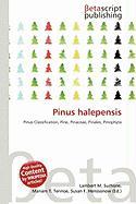 Pinus halepensis