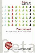 Pinus nelsonii
