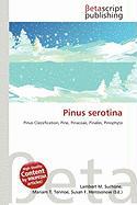 Pinus serotina