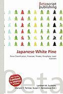 Japanese White Pine