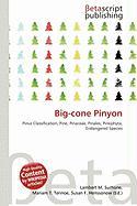 Big-cone Pinyon