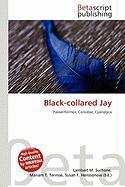 Black-collared Jay