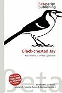 Black-chested Jay