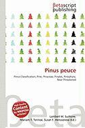 Pinus peuce