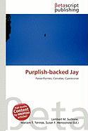 Purplish-backed Jay