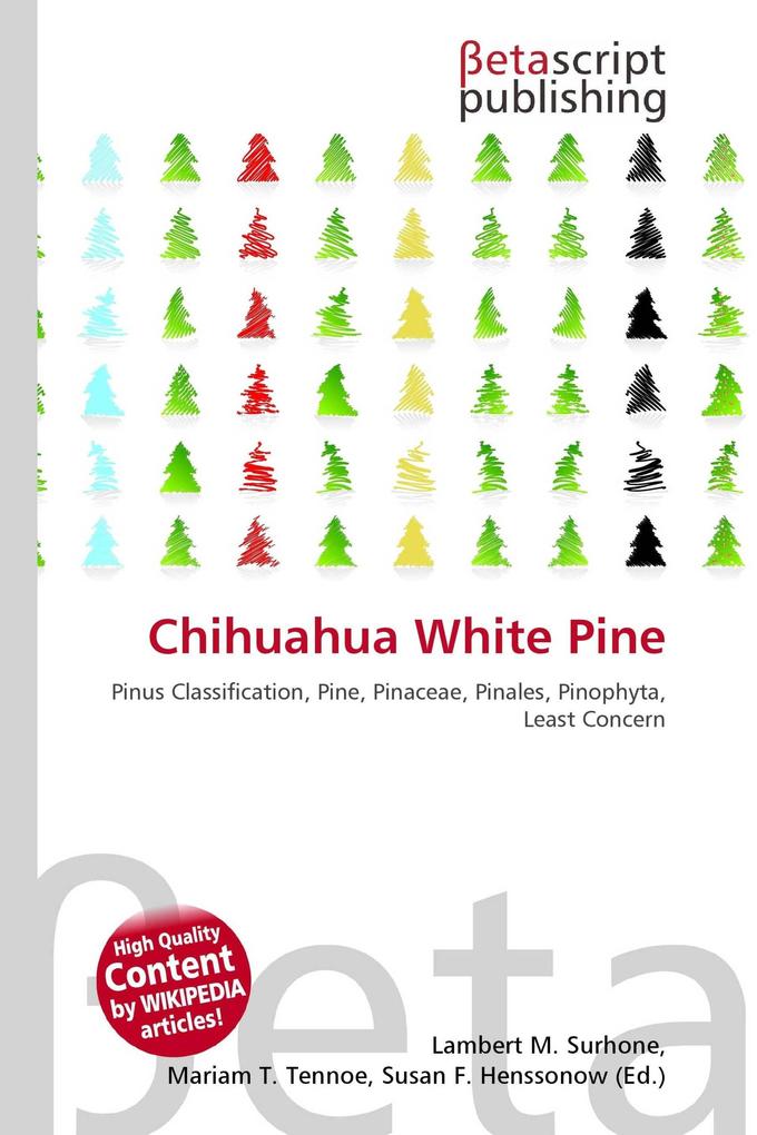 Chihuahua White Pine