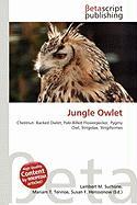 Jungle Owlet