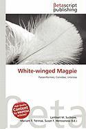White-winged Magpie