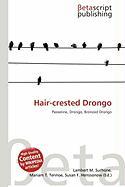 Hair-crested Drongo