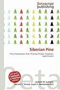Siberian Pine