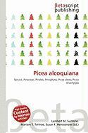 Picea alcoquiana