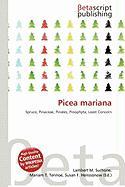 Picea mariana