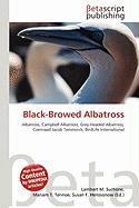 Black-Browed Albatross