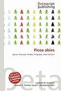 Picea abies