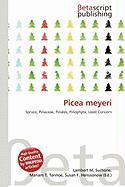 Picea meyeri
