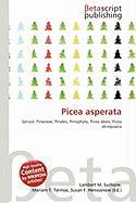 Picea asperata