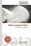 White-winged Triller
