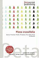 Picea crassifolia