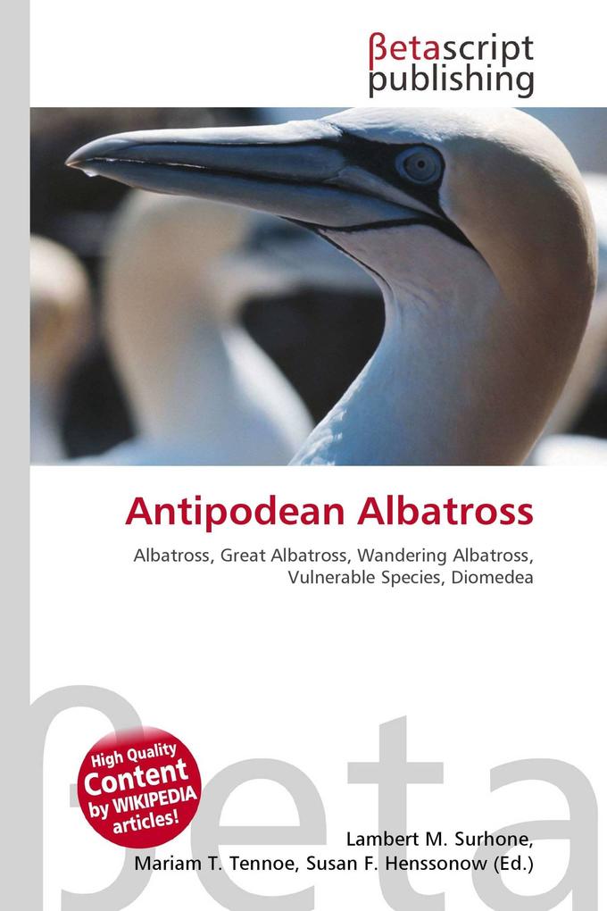 Antipodean Albatross