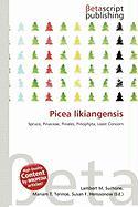 Picea likiangensis