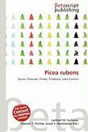Picea rubens