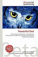 Powerful Owl