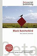 Black Butcherbird