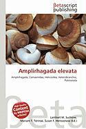 Amplirhagada elevata