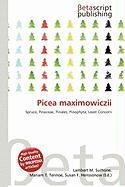 Picea maximowiczii
