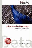 Ribbon-tailed Astrapia