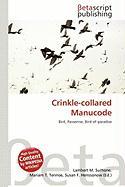 Crinkle-collared Manucode