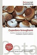 Cupedora broughami