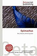 Epimachus
