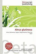 Alnus glutinosa