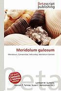 Meridolum gulosum