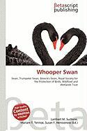 Whooper Swan