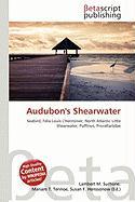Audubon's Shearwater