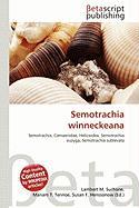 Semotrachia winneckeana