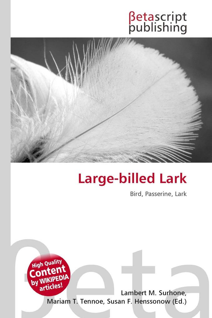 Large-billed Lark